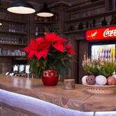 11226566_794656244013156_2624002143698698594_o